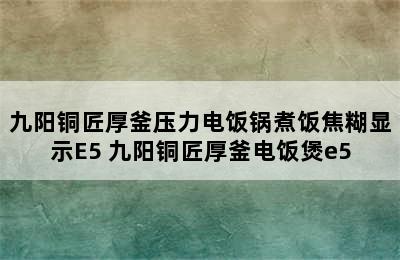 九阳铜匠厚釜压力电饭锅煮饭焦糊显示E5 九阳铜匠厚釜电饭煲e5